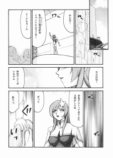 (C72) [LTM.(hajime taira)] Tane desu. Ryou (Gundam Seed Destiny) - page 29