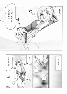 (C72) [LTM.(hajime taira)] Tane desu. Ryou (Gundam Seed Destiny) - page 28