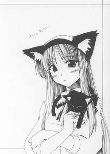 (C64) [Koori Ame (Hisame Genta)] Akiha Ryouran (Tsukihime) - page 3