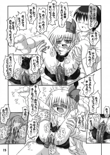 (SC31) [Schwester (Inasaki Shirau)] Tabete mo Ii no? (Touhou Project) - page 14