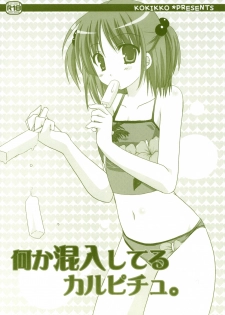 (C72) [Kokikko (Sesena Yau)] Nanika Konnyuu Shiteru Karupichu. (Hayate no Gotoku! [Hayate the Combat Butler!]) - page 1
