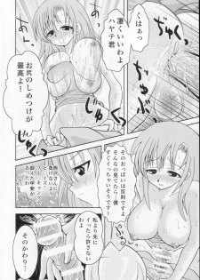 (C72) [B-CREWS (Shidou Mayuru)] Hayate to Futanari Hinagiku (Hayate no Gotoku!) - page 19