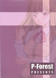 (C68) [P.Forest (Hozumi Takashi)] Shizuru-san to Iroiro (Mai Hime) - page 26