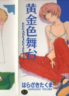 [Harazaki Takuma] Koganeiro Butai 3 - page 1