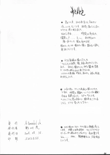 (C66) [St. Armadel Ch. (Kagetora)] Tsukihime Giwa 2 (Tsukihime) - page 25