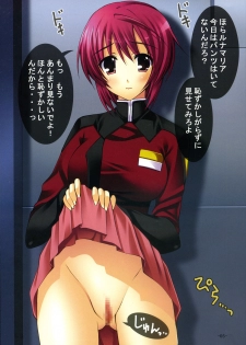 (C72) [Homurado (Mizuhara Yuu)] Taneware. (Gundam Seed) - page 5