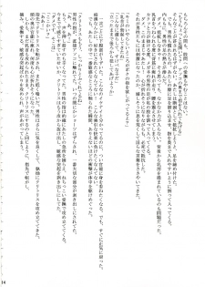 (C70) [Crimson Comics (Crimson)] Orihime no Kokuhaku (Bleach) - page 13