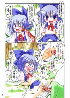 (SC30) [Schwester (Inasaki Shirau)] Rollin 22 (Touhou Project) - page 2