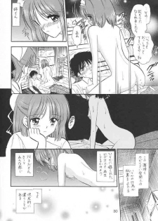 (C63) [Mystic Chord (Gyro Amarume)] Chouyou no En (Tsukihime) - page 29