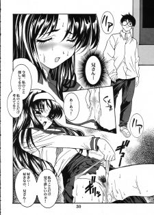(CR31) [Maricyan-FC (Kouno Shintarou, Ginseidou)] Tsukimeomi (Tsukihime) - page 29