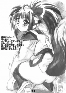 Magical Girl H Nanoha (Mahou Shoujo Lyrical Nanoha) - page 23