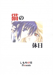 (SC20) [Shimoyakedou (Ouma Tokiichi)] Neko no Kyuujitsu (Tsukihime) - page 34
