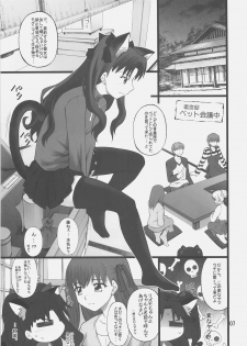 (C72) [PURIMOMO (Goyac)] Grem-Rin 1 (Fate/stay night) - page 6