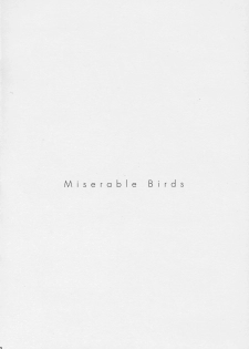 (C70) [EINSATZ GRUPPE (Charlie Nishinaka)] PRISONER 8 Miserable Birds (Gundam SEED DESTINY) - page 3