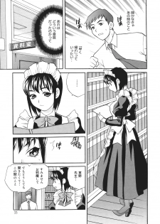 [Yukiyanagi] Seijo Gakuen ~Solvielle no Densetsu~ (Saint Woman education institution) - page 34