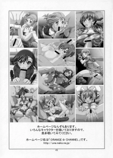 (C68) [ORANGE SOFT (Aru Ra Une)] Sawachika Zuki You. (School Rumble) - page 44
