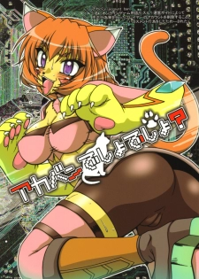 (C70) [Hakueki Shobou (A-Teru Haito)] Akaban Desho Desho? (.hack//Roots) - page 1