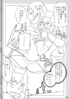 (C70) [Robina go round (Robina)] Hurihuri Mithra! (Final Fantasy XI) - page 26