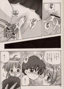 (C64) [Nagisawaya (Nagisawa Yuu)] CHERRY BLOSSOM (Card Captor Sakura) - page 25