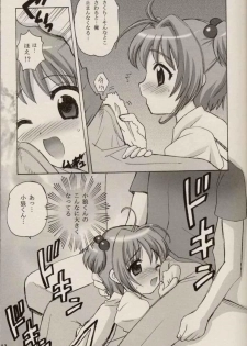 (C64) [Nagisawaya (Nagisawa Yuu)] CHERRY BLOSSOM (Card Captor Sakura) - page 13