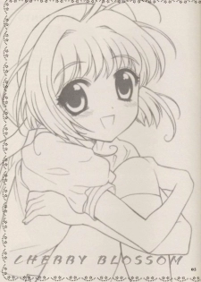 (C64) [Nagisawaya (Nagisawa Yuu)] CHERRY BLOSSOM (Card Captor Sakura) - page 5