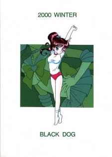 (C59) [BLACK DOG (Kuroinu Juu)] GREEN DAY (Bishoujo Senshi Sailor Moon) [English] - page 30