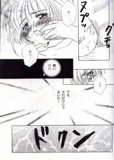 [Abe Ryu] [2000 Summer] Wolf and Cherry - page 29