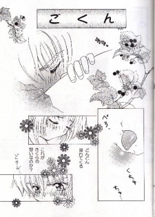 [Abe Ryu] [2000 Summer] Wolf and Cherry - page 15