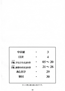 (SC31) [Mouko Mouretsu Hasai Dan (Ryumage)] Ninshin Shinobu Densetsu (2x2 = Shinobuden) - page 3