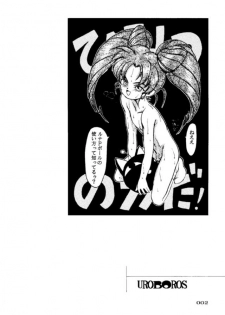 (C45) [UROBOROS (Various)] PARASELENE (Bishoujo Senshi Sailor Moon) - page 3