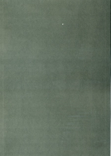 (C72) [bolze. (rit.)] Oujo no Junan (CODE GEASS: Lelouch of the Rebellion) - page 3