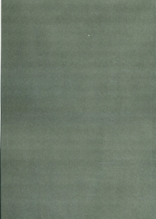 (C72) [bolze. (rit.)] Oujo no Junan (CODE GEASS: Lelouch of the Rebellion) - page 2