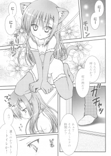 (C72) [Aberyu (Abe Ryuu)] PET GIRLS Aigan Shoujo (Hayate no Gotoku!) - page 18