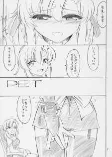 (C71) [EINSATZ GRUPPE (Charlie Nishinaka)] PRISONER 9 Pet (Mobile Suit Gundam SEED Destiny) - page 2