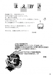 (C76) [Albatross (Nikusyo, Mei)] Yosuzume Yuugi (Touhou Project) - page 3