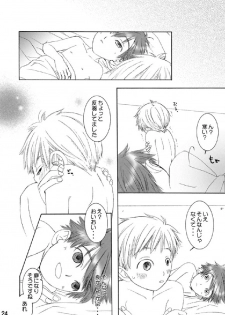 (C74) [Batsu freak (Kiyomiya Ryo)] RE: (Digimon Adventure) - page 23