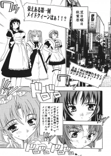 [Studio Q (Natsuka Q-Ya)] Goshujinsama Ga Maid!? - page 19