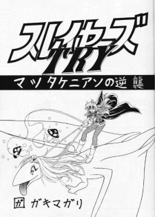(C53) [Himawari Endan (Chunrouzan, Gakimagari, Kuribara Tento, Makichi)] Kyou no Ohiru wa Viking Kanzenban (Slayers) - page 4
