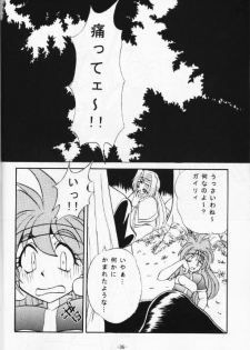(C53) [Himawari Endan (Chunrouzan, Gakimagari, Kuribara Tento, Makichi)] Kyou no Ohiru wa Viking Kanzenban (Slayers) - page 37