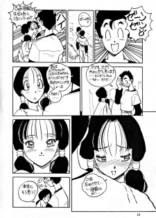 [Oiwaido] BYCHA!HARUMI (Dragonball) - page 23