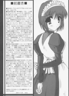 [A' (bebe)] Juuharu Shungetsu (Tsukihime) - page 3