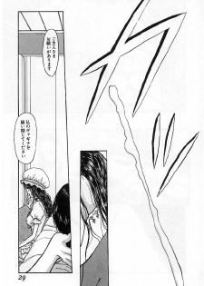 [Mukade Melibe] Baajesu no Otome-tachi Waiwakushia no Akira - page 31