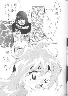 [Ginmomodou (Mita Satomi)] SLAYERS ADULT 12 (Slayers) - page 26