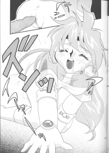 [Ginmomodou (Mita Satomi)] SLAYERS ADULT 12 (Slayers) - page 24
