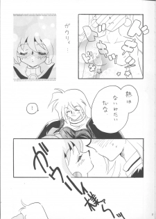 [Ginmomodou (Mita Satomi)] SLAYERS ADULT 12 (Slayers) - page 10