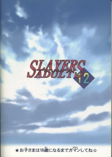 [Ginmomodou (Mita Satomi)] SLAYERS ADULT 12 (Slayers) - page 50