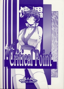 [Wolkenkratzer (Kanimiso)] Critical Point (Dead or Alive)