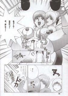 (C58) [Dynamite Honey (Gaigaitai)] Dynamite 6 DEAD OR ALIVE 2 (Dead or Alive) - page 26