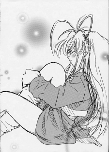 (C55) [Riroland (Kuuya,  Satomi Hiroyuki)] Chanto Chanto no Rinshan Kaihou! (Mamotte Shugogetten, Sorcerous Stabber Orphen) - page 3