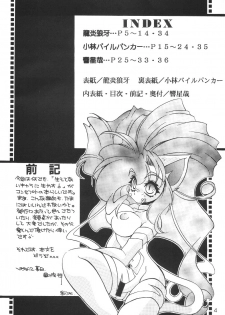 (c51) [Kakushi Toride no San Hamster] Nadare Shiki Bros. (Sakura Taisen, Street Fighters) - page 3